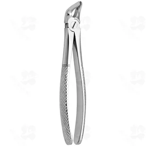 Tooth Forceps N. 8 (001010238)