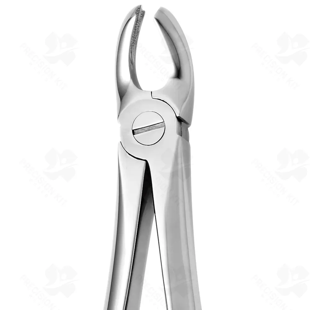 Tooth Forceps N. 94
