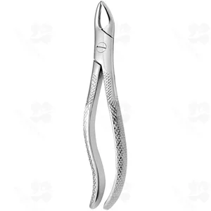 Tooth Forceps N.111 (001010368)