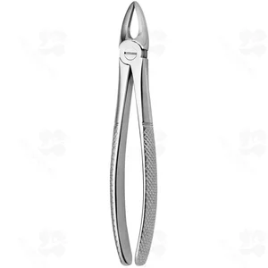 Tooth Forceps N.113 (001010281)