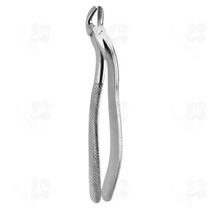 Tooth Forceps N.130 (001010328)