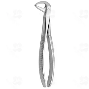 Tooth Forceps N.137 (001010364)