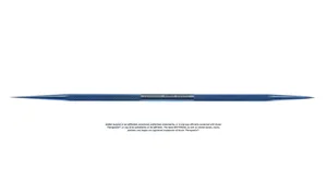 DEXTENZA® (dexamethasone ophthalmic insert) dilator 5 1/2" double-ended, one needle-sharp tip and one middle-sharp tip round handle titanium (018040019)