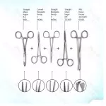 Biology Lab Anatomy Dissecting Set