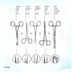 Biology Lab Anatomy Dissecting Set