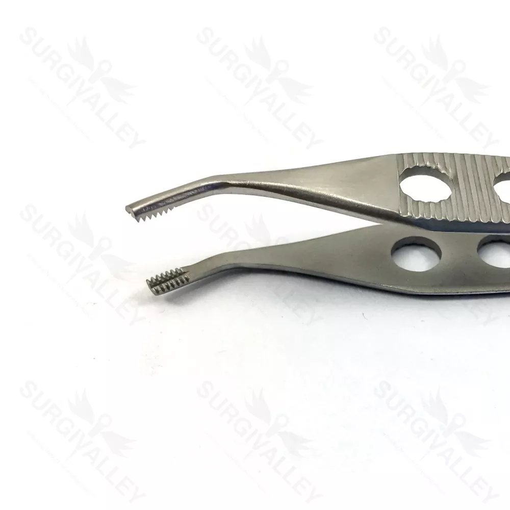 Adson Brown Tissue Forceps 12 cm 7 X 7 Teeth Straight & Curved Veterinary Forceps