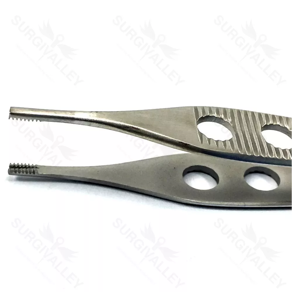 Adson Brown Tissue Forceps 12 cm 7 X 7 Teeth Straight & Curved Veterinary Forceps