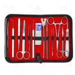 Advanced Dissection Set (5 Pieces) - Stainless Steel Anatomy