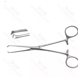 Pedifine Allis Tissue Forceps – surgivalley (SV-10-1210)