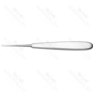 Warwick James Root Elevator Straight – surgivalley (SV-10-2356)